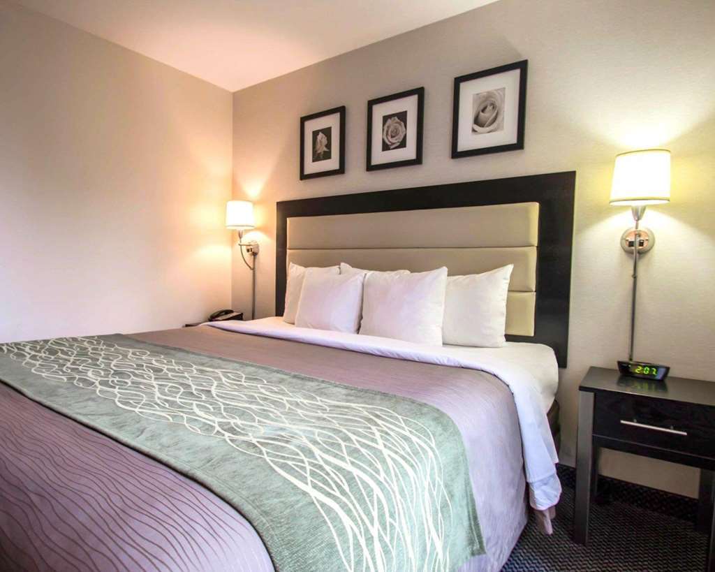 Comfort Inn Times Square South Area New York Phòng bức ảnh